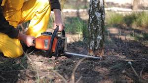 Best Aeration Services  in Vista Center, NJ