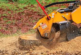 Best Tree Maintenance Programs  in Vista Center, NJ